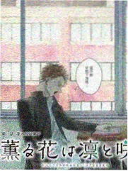 荒野合伙人户外综艺在线观看